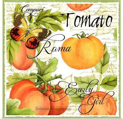 Botanical Tomato