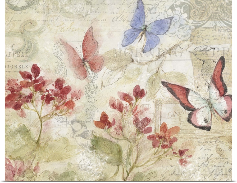 Loose, sketchbook art treatment of beautiful butterflies is lovely for any decor