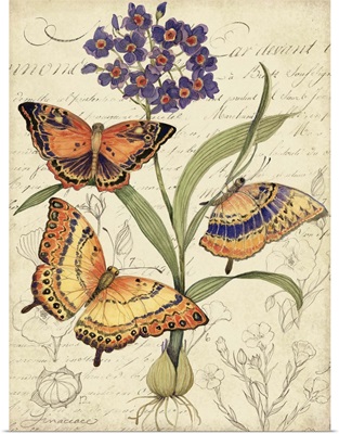 Butterfly Floral