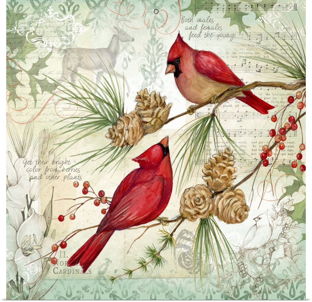 Botanical bird scene brinks the beauty of nature into your winter holiday decor.