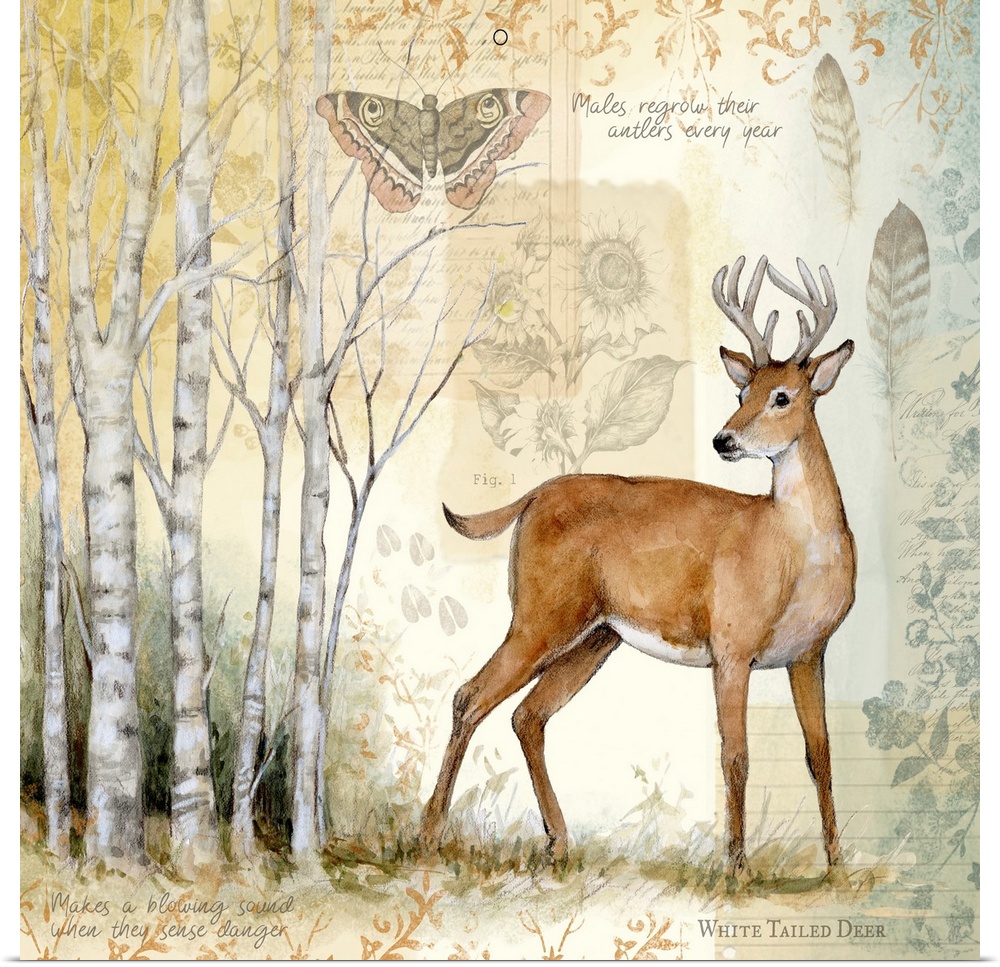 A woodsy scene of birch trees and deer brings the outdoors in.