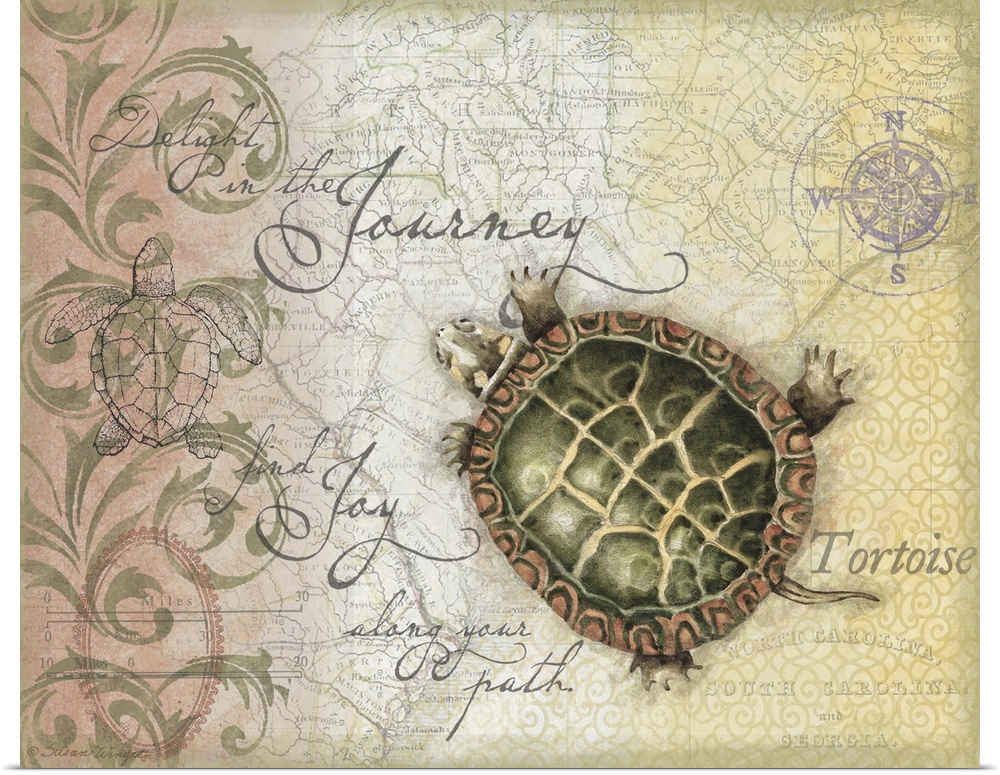 Botanical-inspired tortoise evokes slow and steady journey