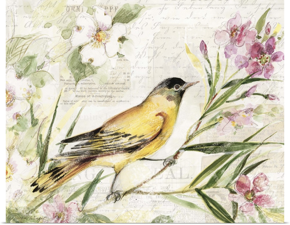 Loose, sketchbook art treatment of the beautiful finch is lovely for any decor