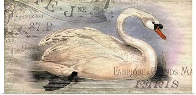 French Swan Motif III