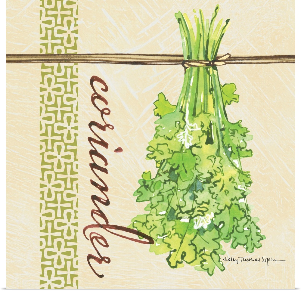 A lovely botanical treatment for the coriander leafa perfect kitchen decor accent.