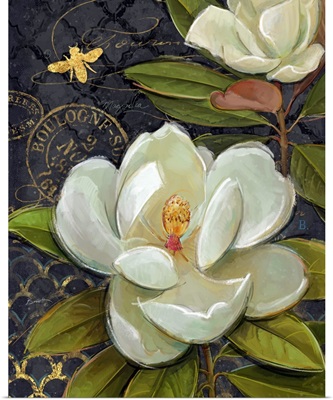 Heirloom Magnolia on Black