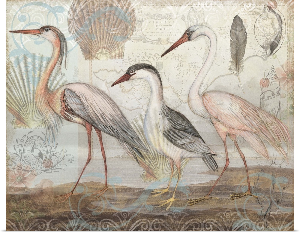 Stunning herons are spotlighted on a beach-inspired backdrop.