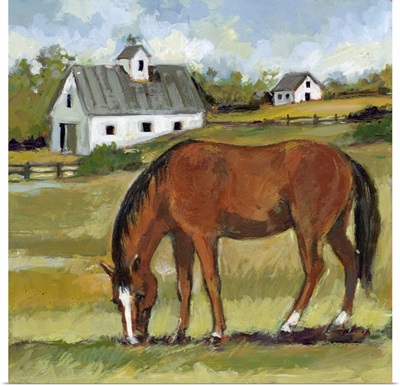 Horse Farm I