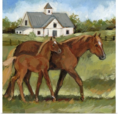Horse Farm V