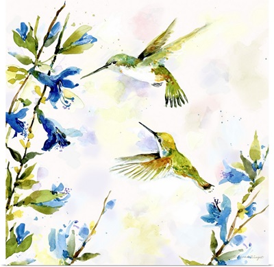 Hummingbird Duet