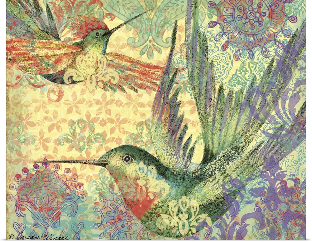 Stunning hummingbird with intricate detail, pattern and color