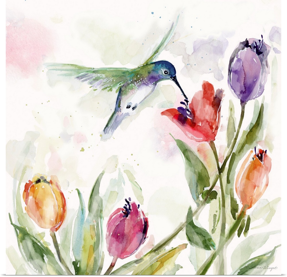 The delicate and delightful hummingbird is a scene stealer in any decor