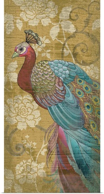 Indian Peacock I v2