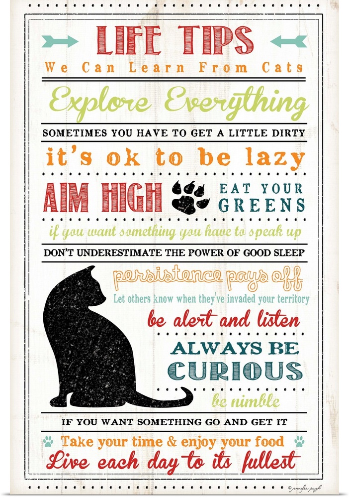 Written out life tips that we can learn from cats.