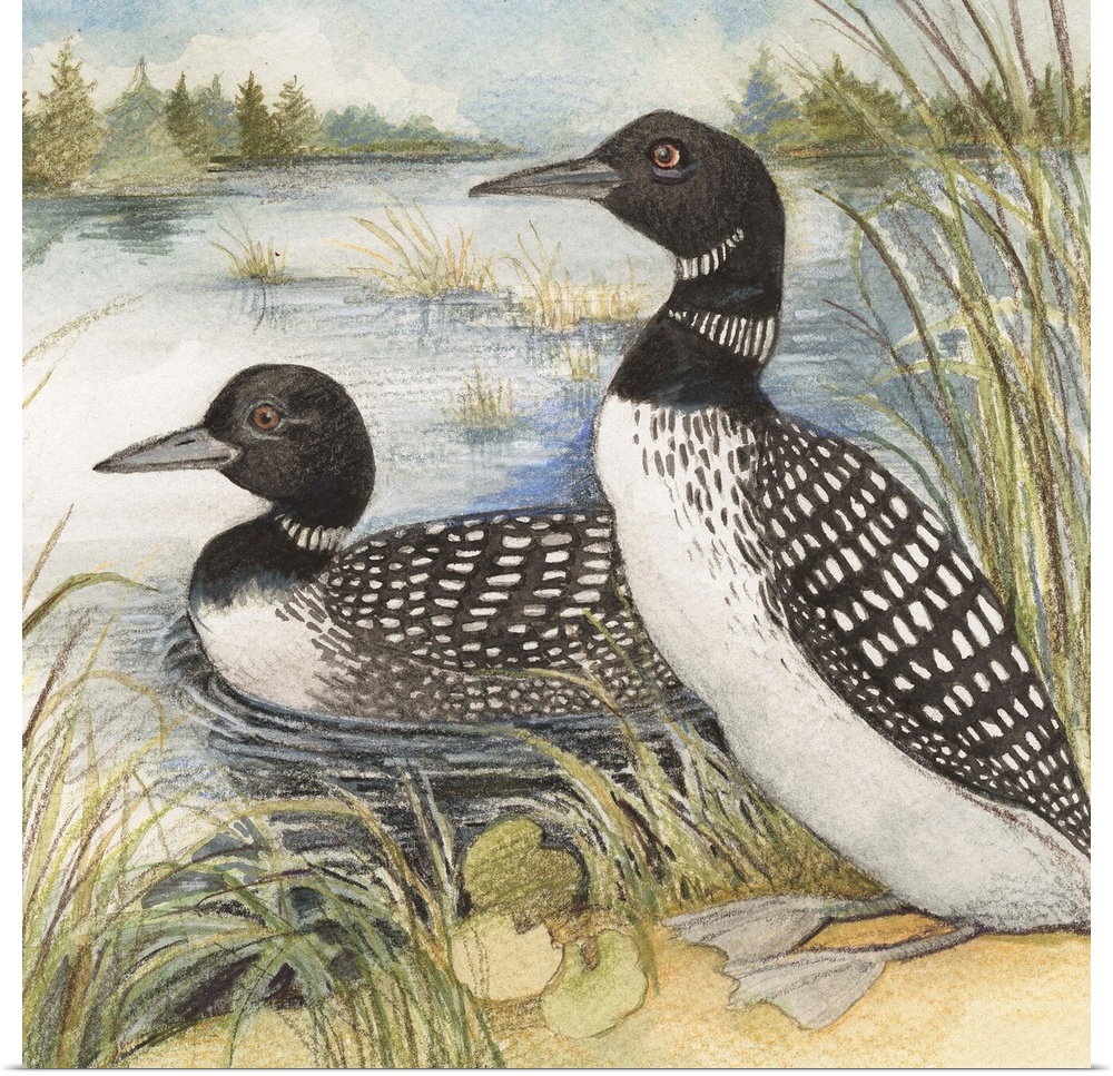 Lovely painterly treatment of loons at the Lake
