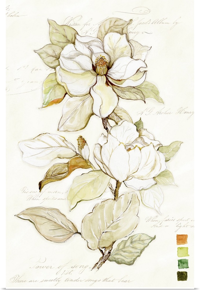 The elegant magnolia gets star treatment here. Stunning form and a soft neutral palette.