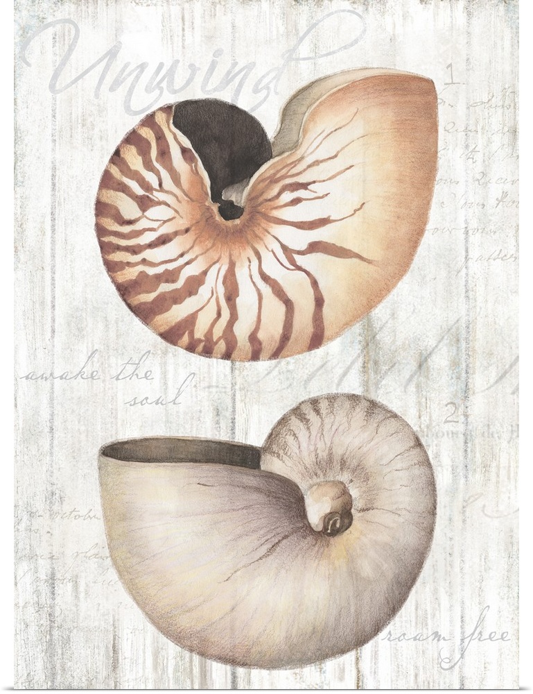 Beautiful imagery from the sea for a classic coastal decor with a faux wood treatment.