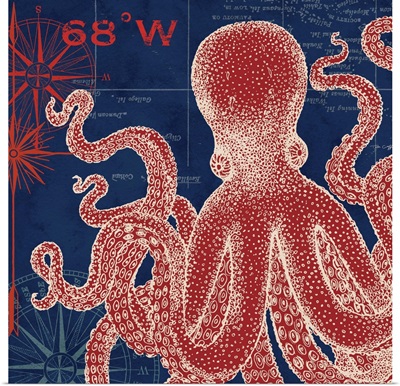 Octopus, Red