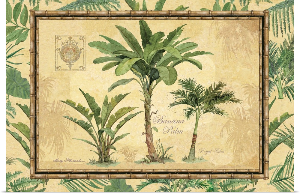 Bring the serenity and earthy palette of the tropics into your home.perfect for all décor