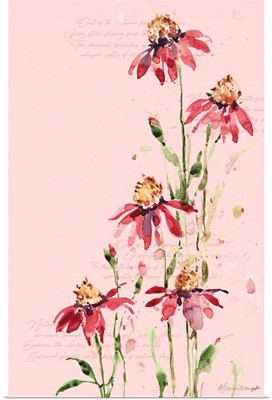 Pink Watercolor Flowers