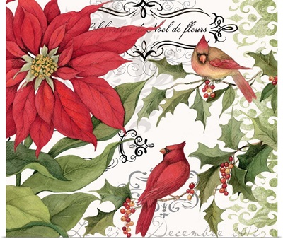 Poinsettia with Cardinals