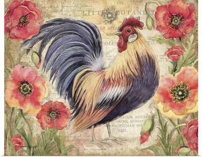 Poppy Rooster