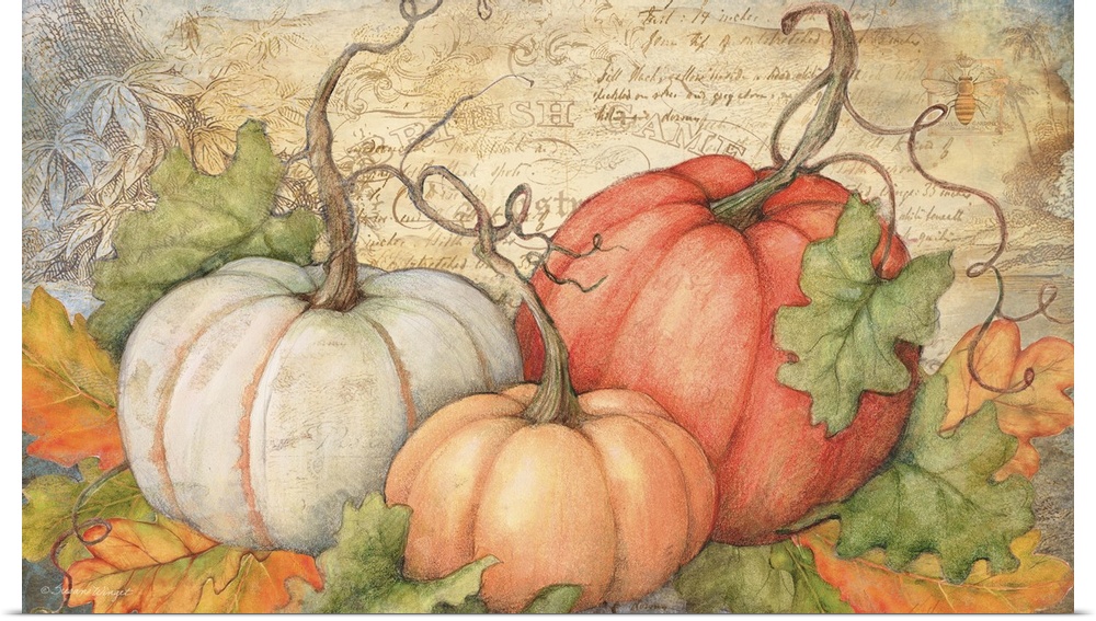 A classic montage of harvest pumpkins!