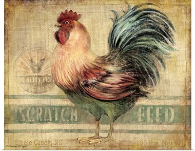 Rooster - Scratch Feed