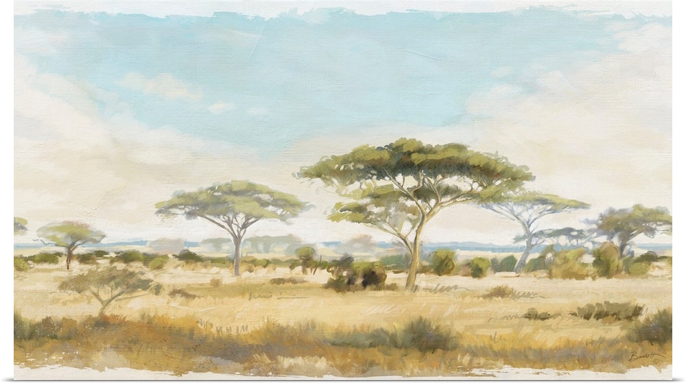 The wide expanse of the African landscape is captured in this stunning panoramic