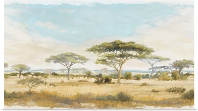 Safari Landscape