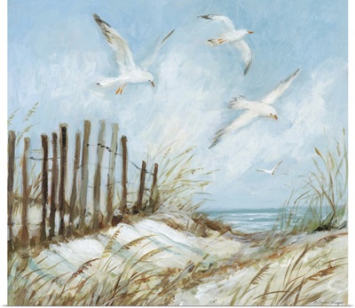 Sand Dunes With Seagulls