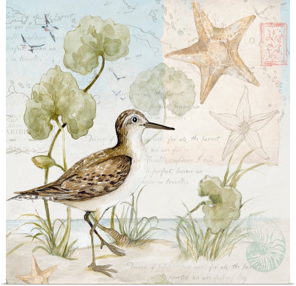 Softly hued scene featuring the delicate sandpiper is a subtle and tasteful coastal statement.