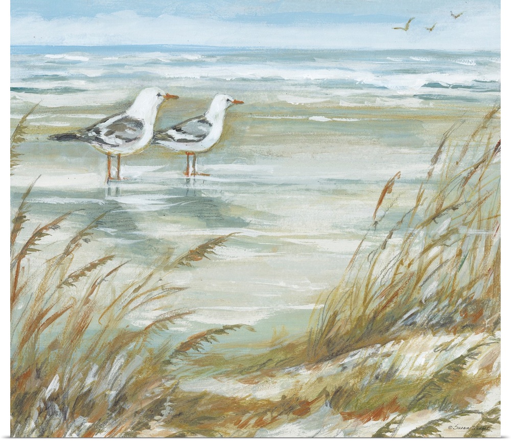 Seagulls pose in their seaside setting.