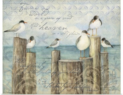 Seagulls on Pier