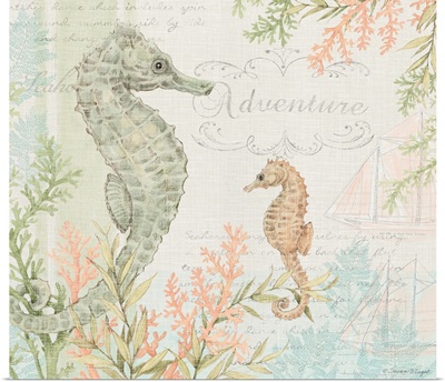 Seahorses and Coral