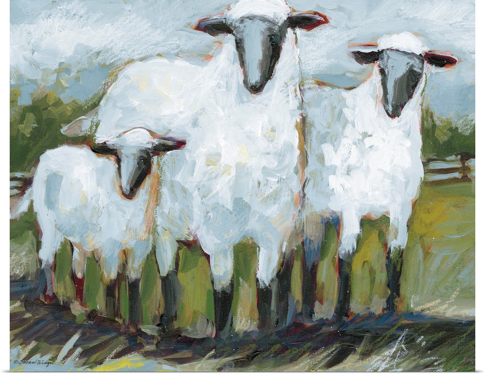 This sheep trio boldly takes center stage in the field.