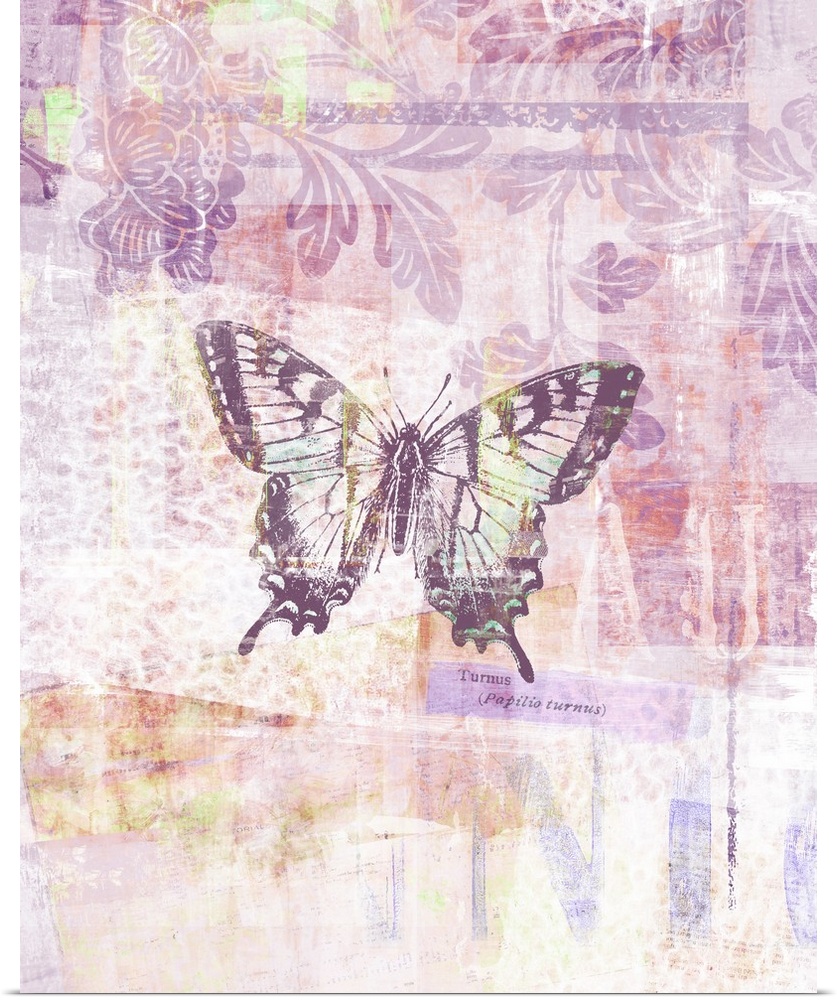 Butterflies are given a translucent, gauzy treatment in this lovely chromatic image.