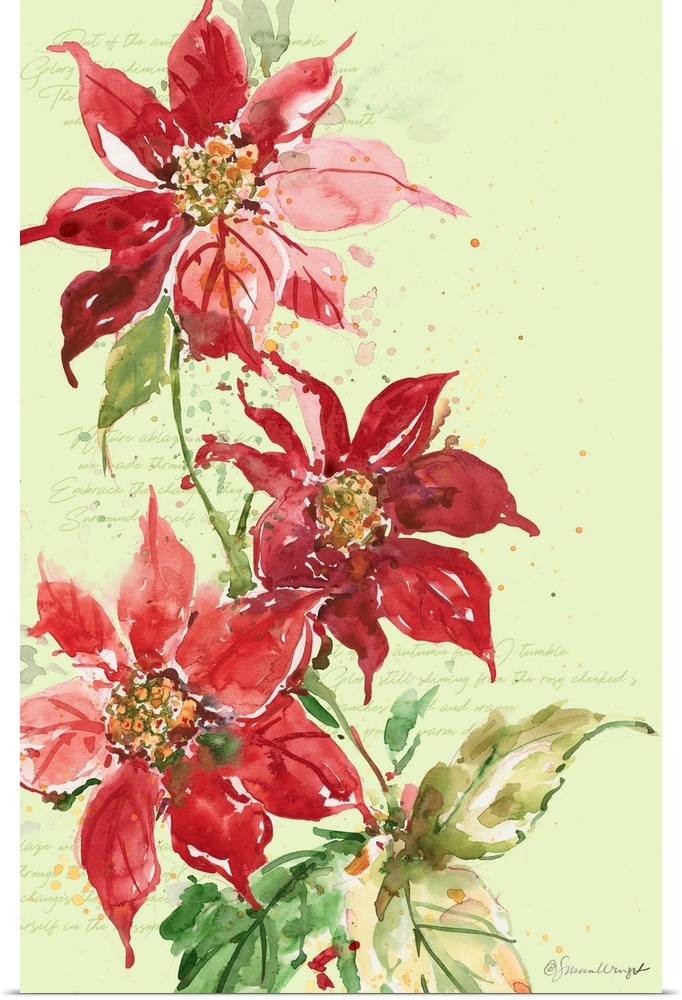 A simple and elegant poinsettia adds a touch of winter's grace to any room.