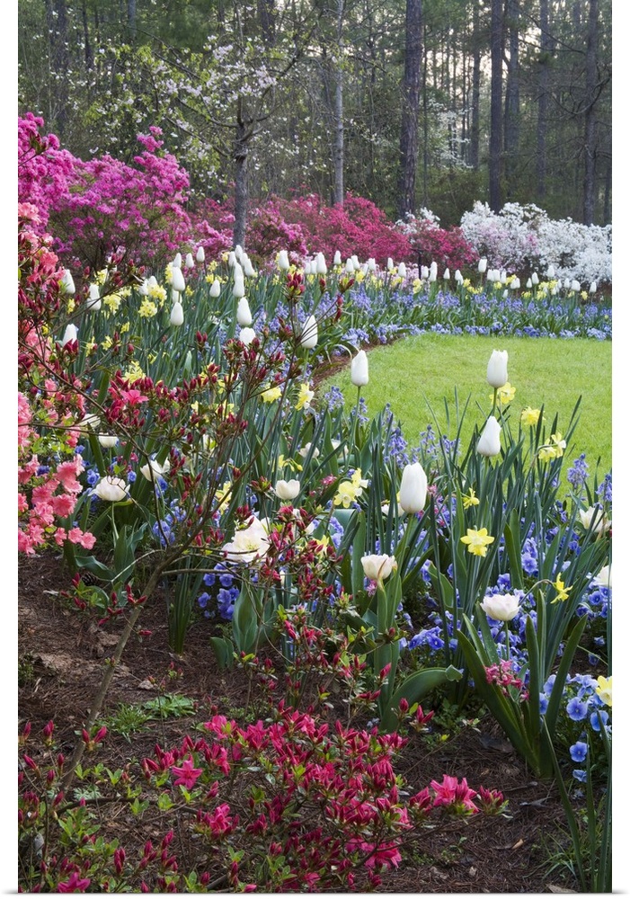 USA, Georgia, Pine Mountain. A border of spring flowers.