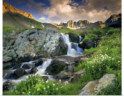 A Spring Cascade With White Wildflowers In American Basin, Colorado Rocky Mountains