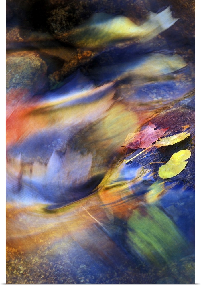 nature,Abstract of fall leaves rushing downstream
