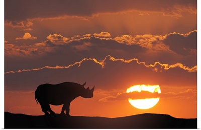 Africa, Kenya, Composite of white rhino silhouette and sunset