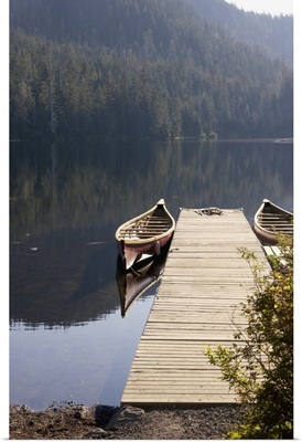 Alaska, Ketchikan, Harriet Hunt Lake, canoes tied up at dock for tours