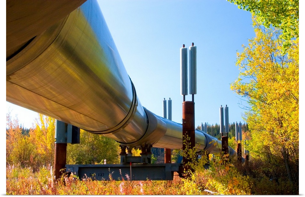 USA, Alaska. The Trans-Alaska Pipeline which transports oil from Prudhoe Bay to Valdez, Alaska.
