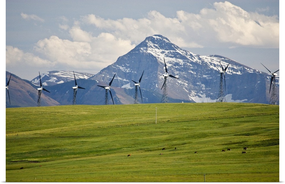 North America, Canada, Alberta, Rocky Mountains south of PIncher Creek, wind turbines and wind farm, June