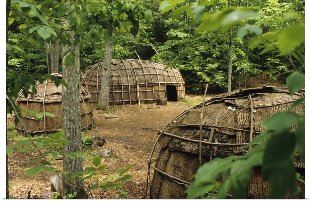 Algonquin Indian village traditionally was made of bark covered dwellings such as wigwams and longhouse in the Northeast w...