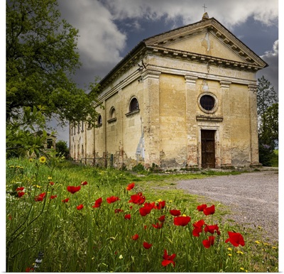Ancient Church Ruin Surrounded By Bright Reed Poppies, Montalcino, Tuscany, Italy