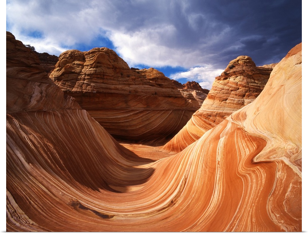 USA, Arizona, Paria Canyon, The Wave formation in Coyote Buttes.