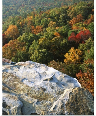 Arkansas, Ozark-St. Francis National Forest, Autumn at White Rocks