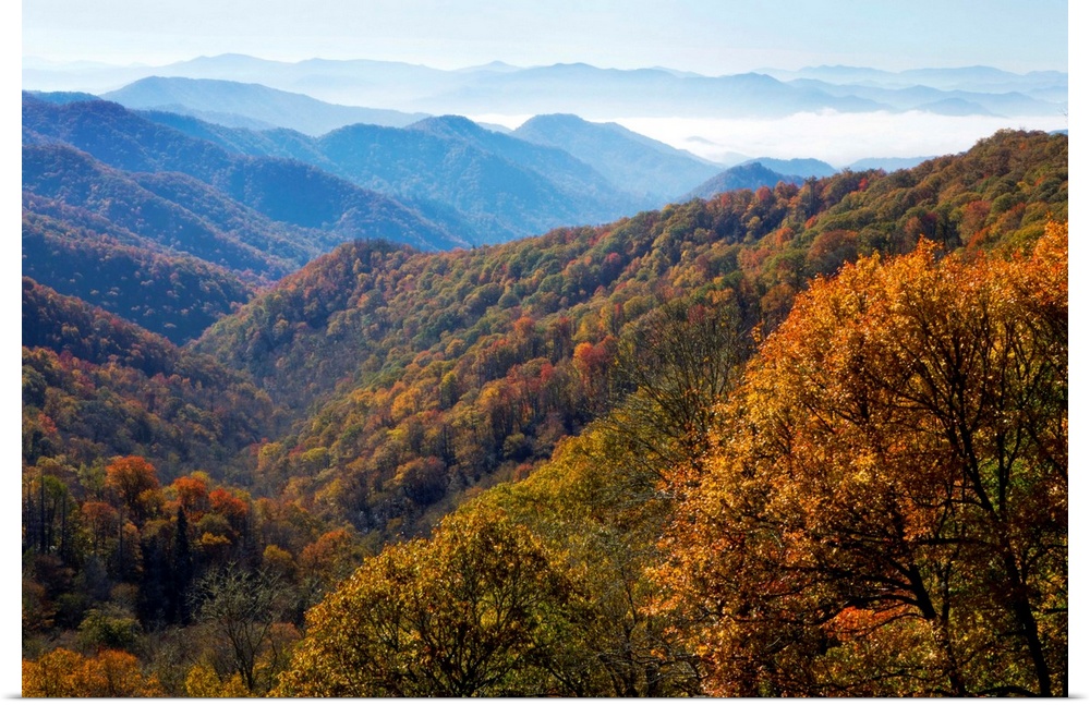 Autumn color on trees, mountain vista, fog in valley, Great Smoky Mountain National Park, Tennessee